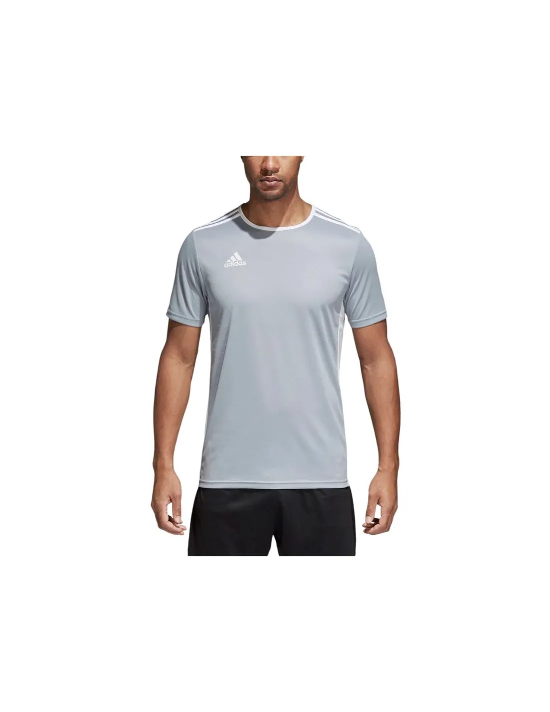 Camiseta de Fútbol adidas Entrada 18 Jsy Hombre