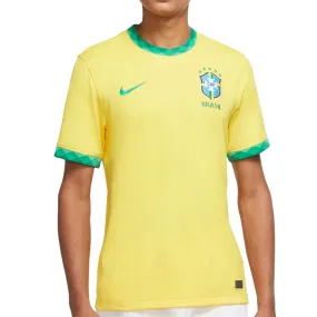 Camiseta Nike Brasil 2020 Stadium