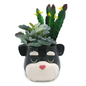 Decorative Ceramic Indoor Shaped Planter - Schnauzer Dog Head PLAN25