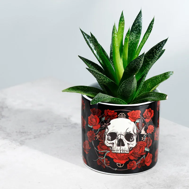 Skulls & Roses Ceramic Indoor Plant Pot - Small PLAN30