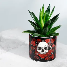 Skulls & Roses Ceramic Indoor Plant Pot - Small PLAN30