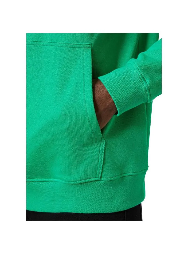 Sudadera Hombre Helly Hansen Core Graphic Verde