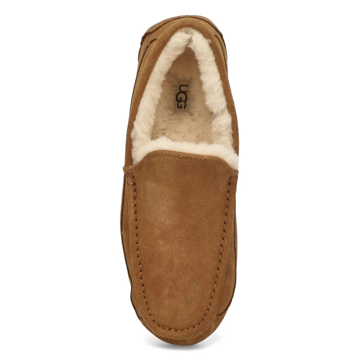 UGG  Ascot Men