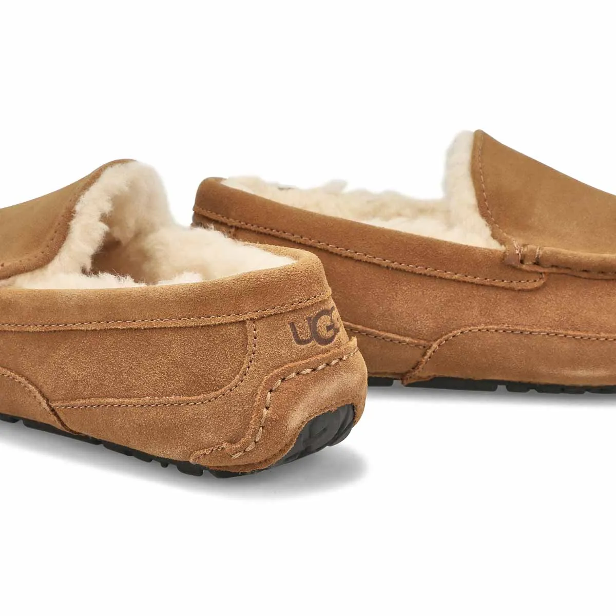 UGG  Ascot Men