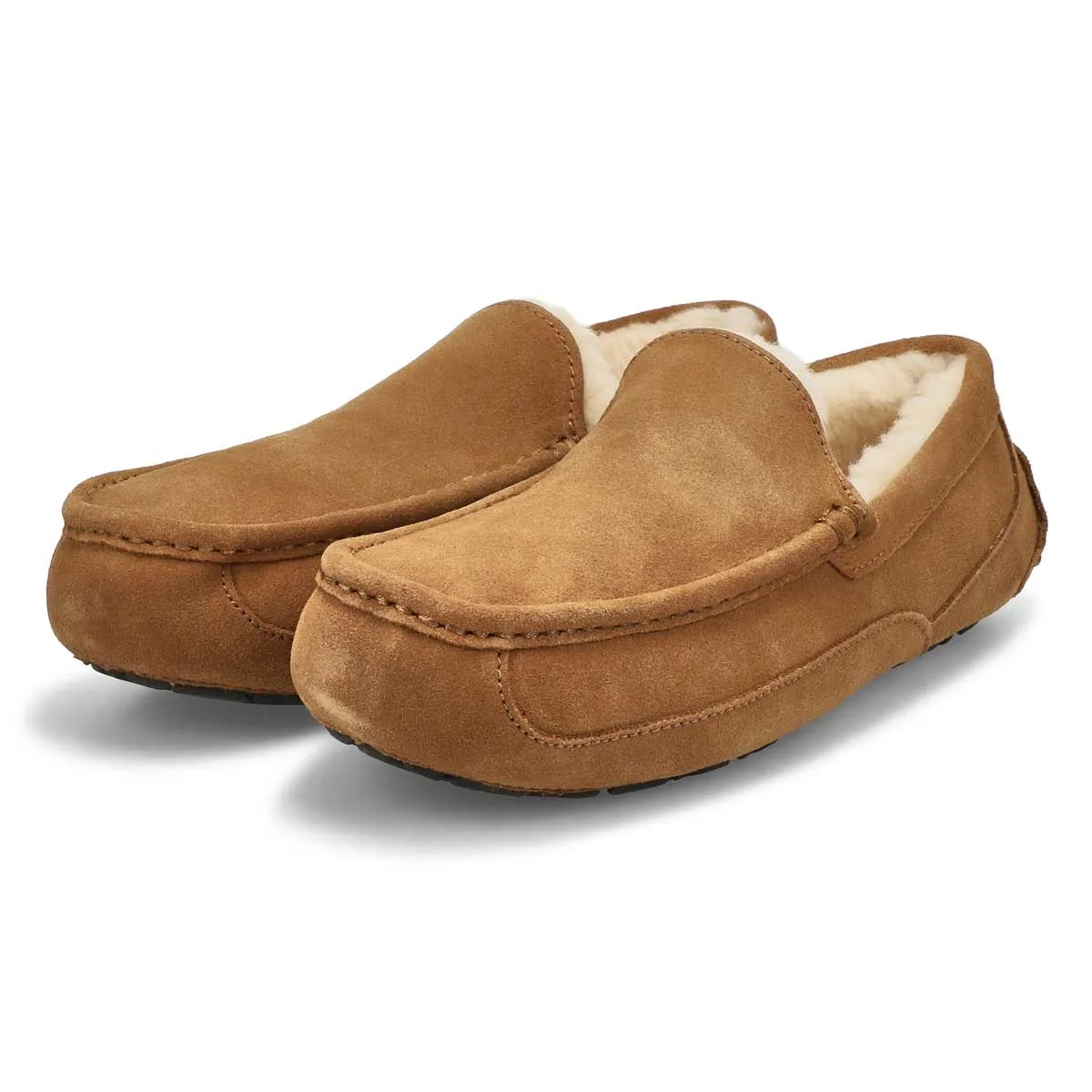 UGG  Ascot Men